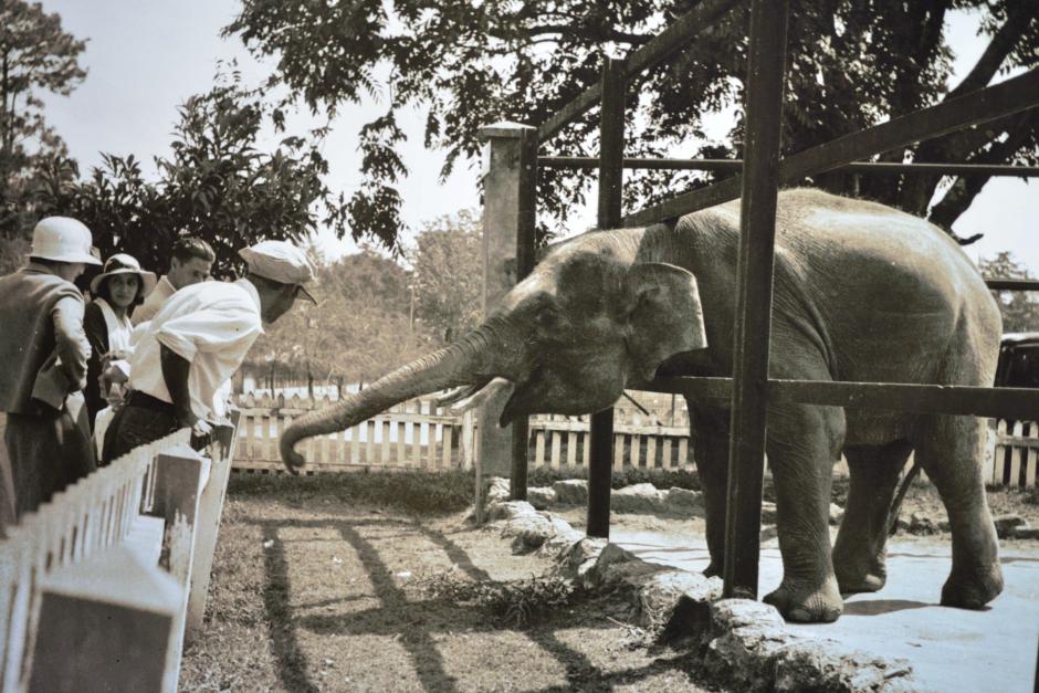El Zoológico La Aurora fue inaugurado el 25 de diciembre de 1924, bajo el régimen de José María Orellana. (Foto: Archivo Zoológico)