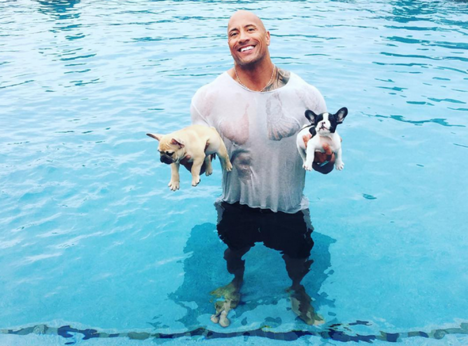 Dwayne Johnson "La Roca", dio a conocer como evitó que muriera ahogado su perro "Brutus" (Foto: Instagram)