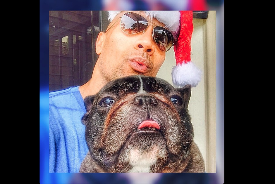 El actor Dwayne Johnson llora la partida de su mejor amigo canino "Louie", expresando su dolor en redes sociales. (Foto: Instagram)&nbsp;