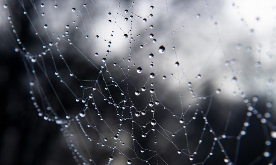 El pronóstico del Insivumeh anticipa lluvia ligera y bajas temperaturas para este viernes provocado por un frente frío que ingresó al país desde el pasado miércoles. (Foto: Archivo/EFE)