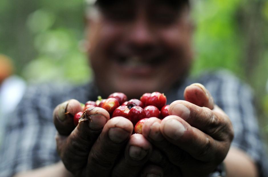 Don Juan muestra a manos llenas el fruto de su trabajo en San Lucas Tolimán, Sololá. (Esteban Biba/Soy502)