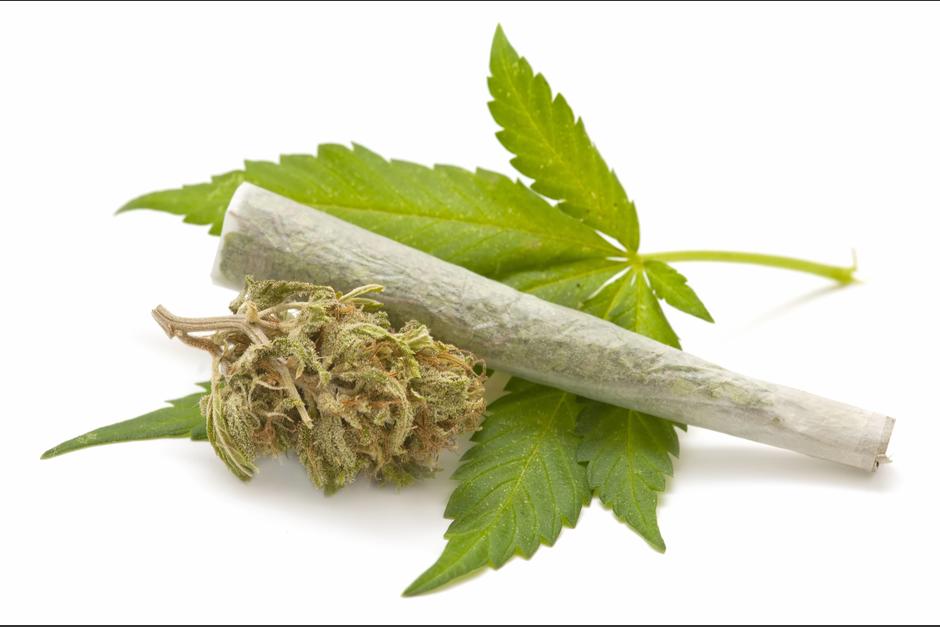 La nueva propuesta busca legalizar el uso medicinal de la marihuana. (Foto: elfanzine.tv)