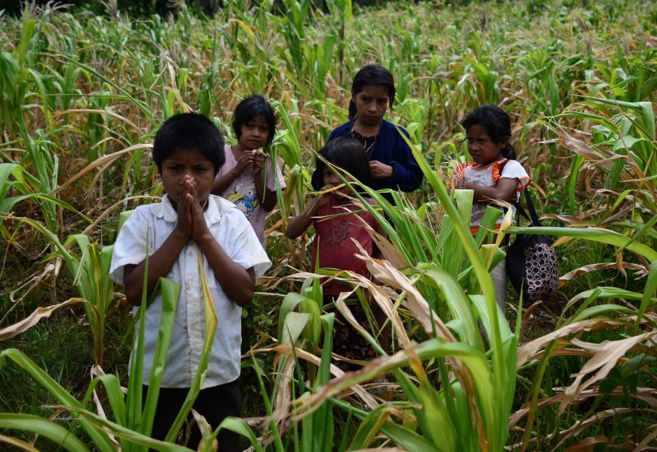 Niñas y niños de la aldea El Pinal, del municipio de Comapa, no saben por qué este año la lluvia no llegó a los cultivos de maíz, los cuales no crecieron. (Foto: Wilder López/Soy502)