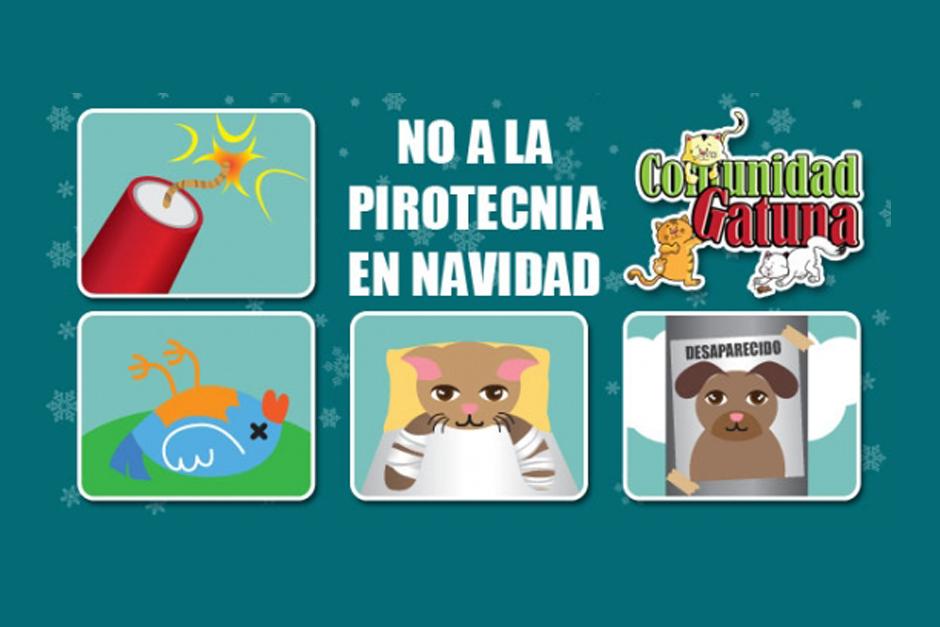 La pólvora genera en los animales un estrés agudo, lo que puede llevarles al colapso y causarles la muerte en algunos casos. (Foto: Comunidad Gatuna)