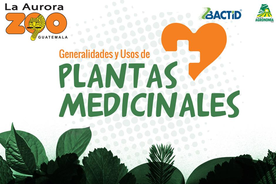 No te pierdas este 6 de septiembre&nbsp;“Generalidad y Uso de Plantas Medicinales” en el Zoológico La Aurora. (Foto: Zoológico)