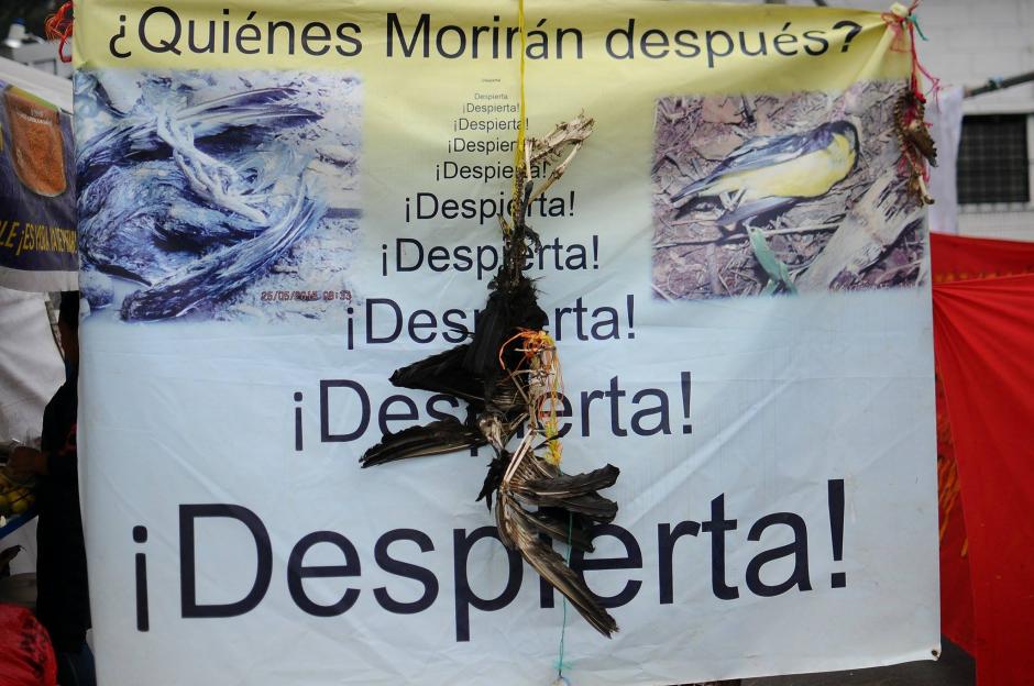Desde hace 7 días, pobladores en resistencia de La Puya protestan frente al Ministerio de Energía y Minas, piden el cese de operaciones de la mina El Tambor. (Foto: Alejandro Balan/Soy502)