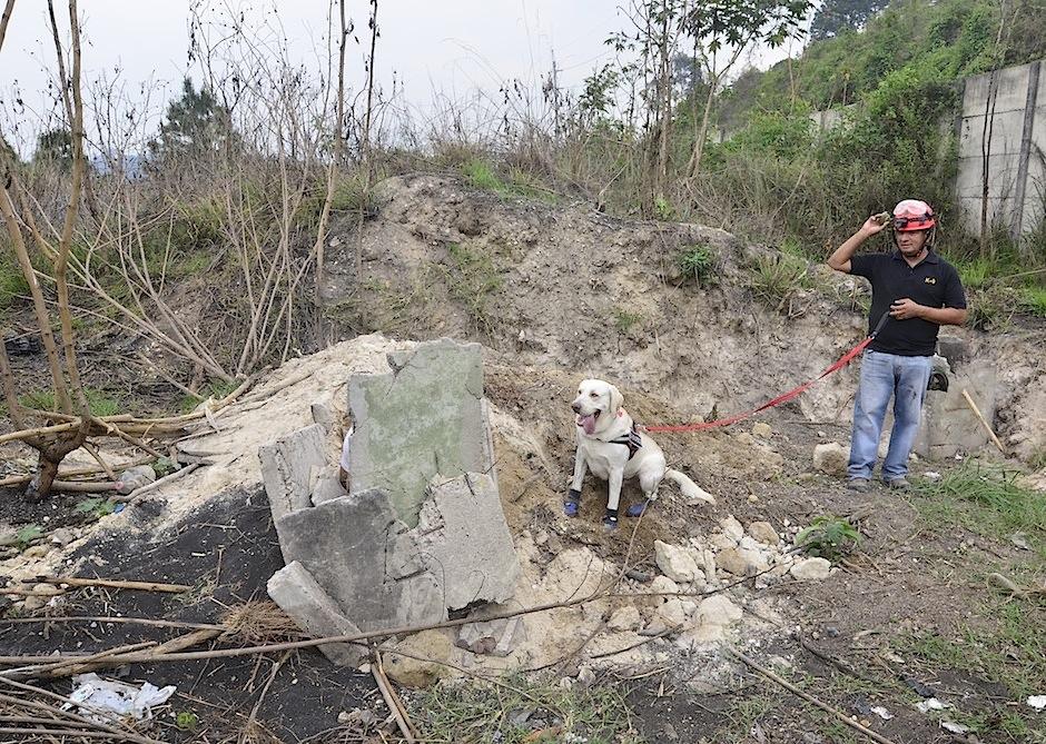 Héctor Orellana es un entrenador de perros de búsqueda. (Foto: Selene Mejía/Soy502) 