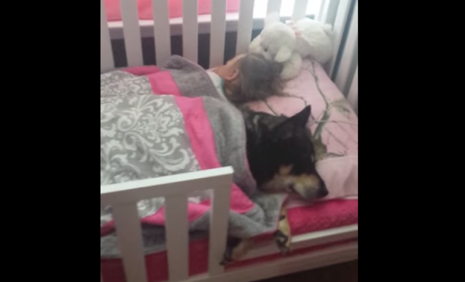 El perro Raven duerme junto a una pequeña bebé. (Imagen: YouTube)