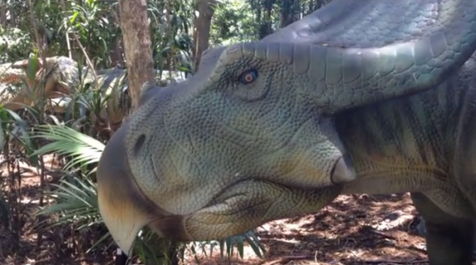 El parque australiano de dinosaurios ‘Palmersaurus’, causa la curiosidad de miles alrededor del mundo.