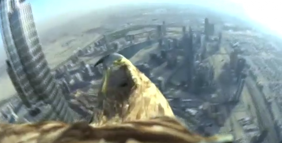 El águila habría logrado un récord al realizar el descenso desde el edificio más alto del mundo.