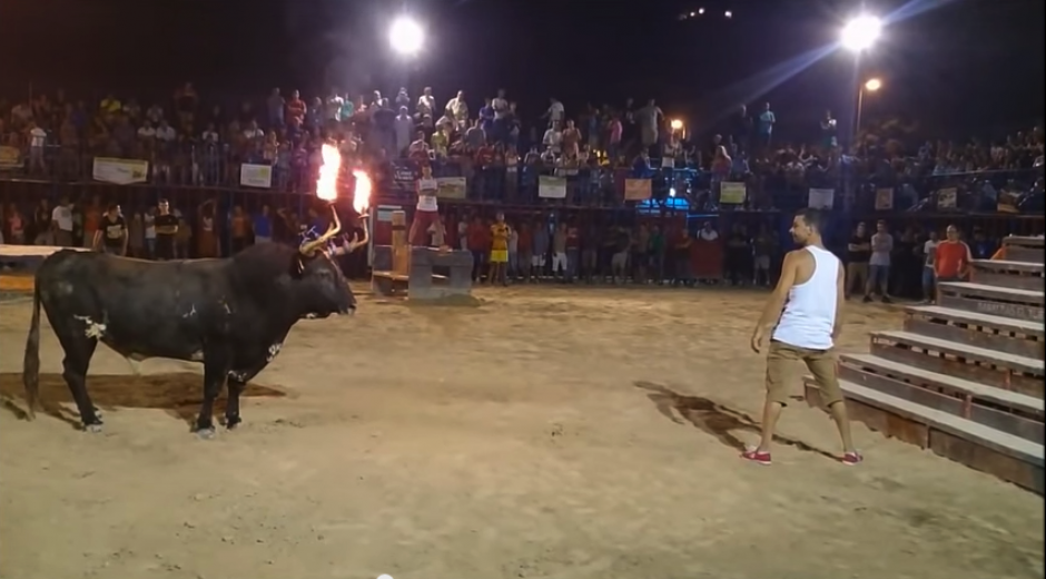 Un intrépido joven enfrentó a un toro con los cuernos en llamas; el resultado no fue el esperado. (Foto: YouTube)
