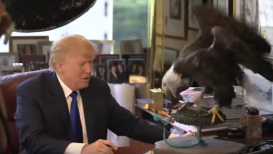 Durante una sesión de fotos, un águila calva, el ave representativa de Estados Unidos, atacó al precandidato presidencial Donald Trump. (Foto: YouTube)&nbsp;