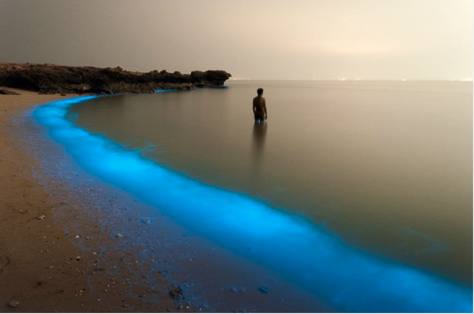 Mientras caminaba por la orilla del Larak, Irán, una isla en el Golfo Pérsico un fotográfo se encontró con la escena luminosa de plancton.&nbsp;(Foto Pooyan Shadpoor/National Geographic)