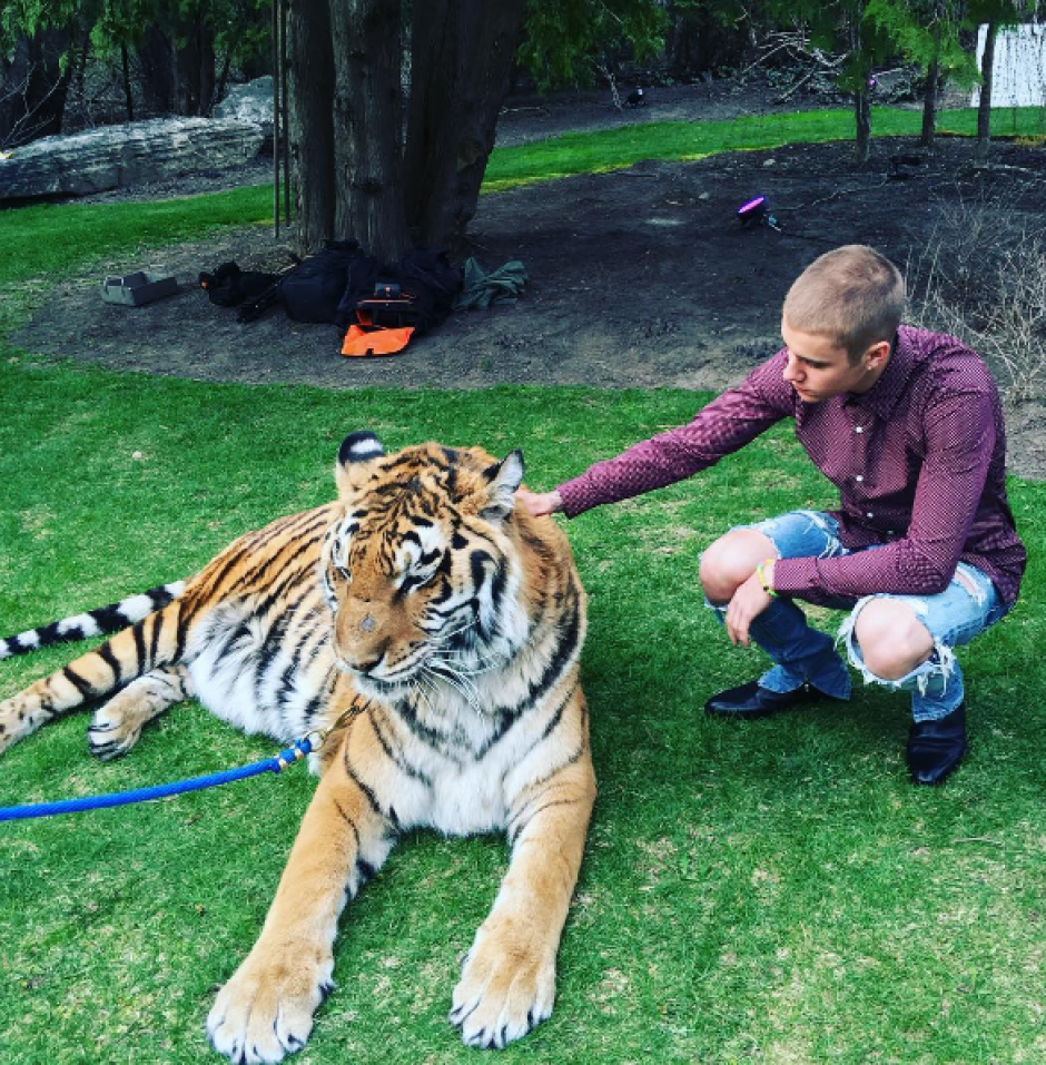 Justin posó junto a un tigre en la fiesta de compromiso de su padre. (Foto: Instagram/@justinbieber)