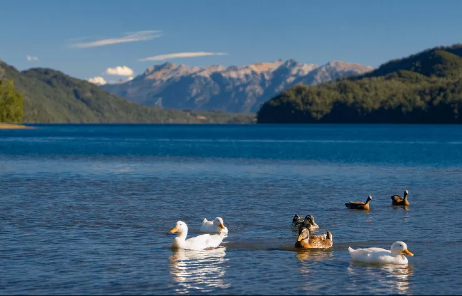 Otro voluntariado se lleva a cabo en Lago Hermoso, Argentina, y podrás observar paisajes como este todos los días. (Foto: Facebook, Winkamawida)