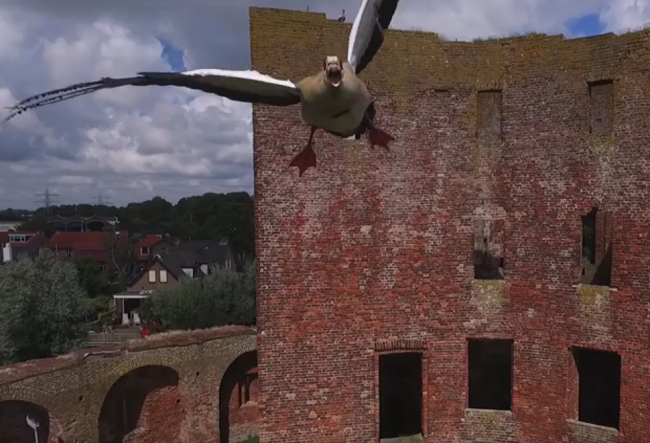 Un ganso atacó a un drone que sobrevolaba un castillo en Holanda. (Imagen: Captura de pantalla)