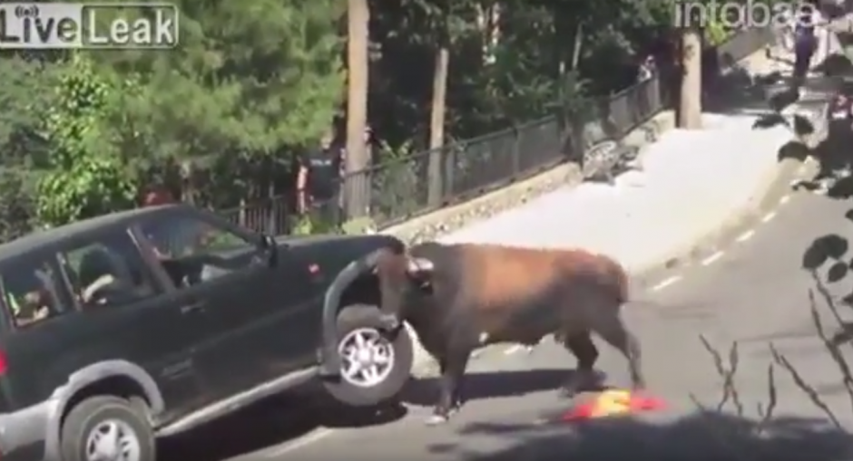 El embravecido toro la emprendió en contra de una familia que estaba encerrada en una camioneta. (Imagen: captura de YouTube)