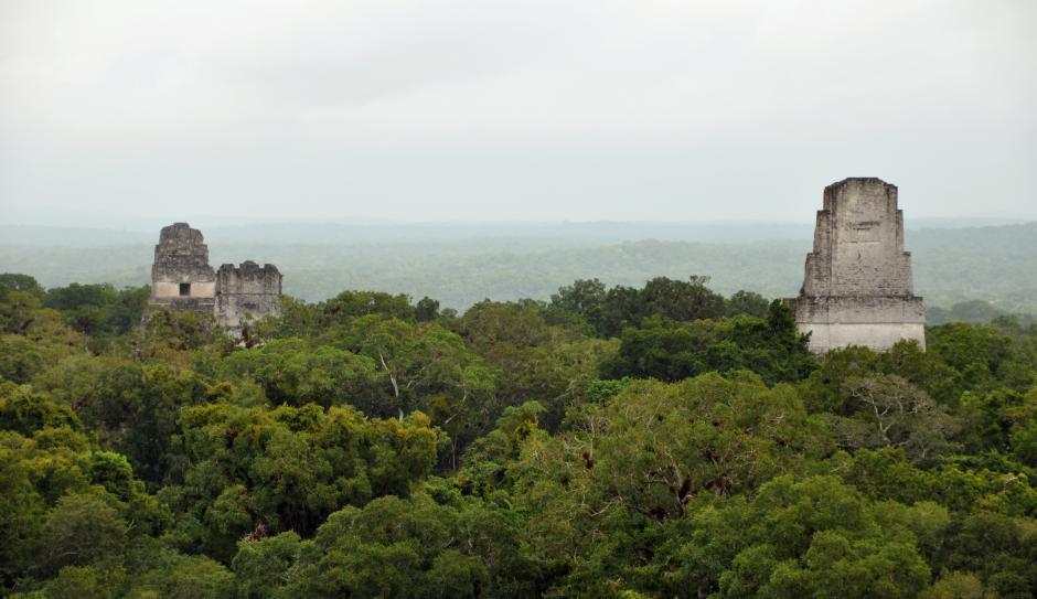 Vista del parque nacional Tikal.
