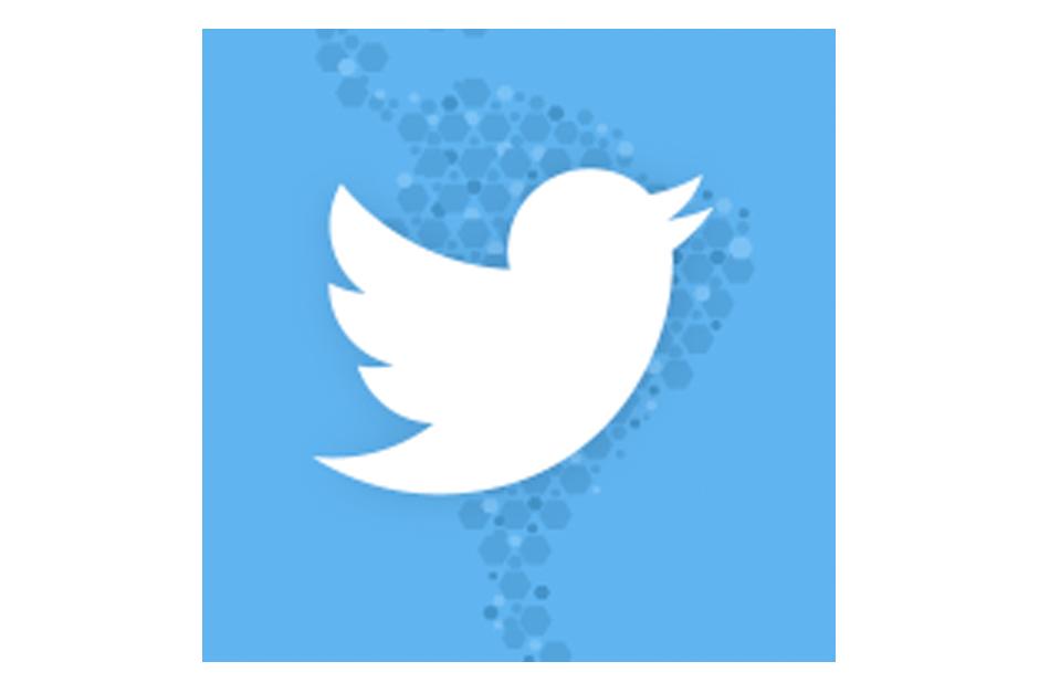 Twitter es una plataforma con miles de usuarios alrededore del mundo.&nbsp;