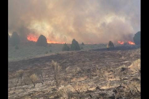 Un guardián sobrenatural aparece en medio de un incendio