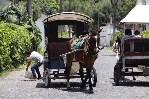 Un reglamento estancado perjudica a los caballos en la Antigua