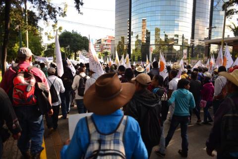 Inician las manifestaciones en la ciudad contra Jimmy Morales