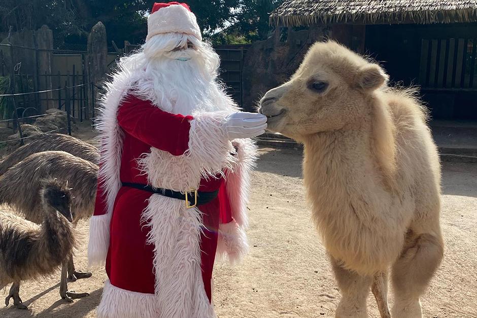 Santa Claus lleva regalos a los animales del Zoológico La Aurora
