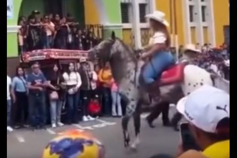 La mujer que cayó de un caballo durante desfile hípico de Chimaltenango (video) 