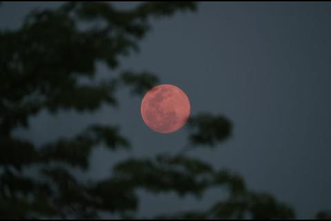 Calendario lunar de junio 2024: ¿Cuándo ver la Luna de fresa?