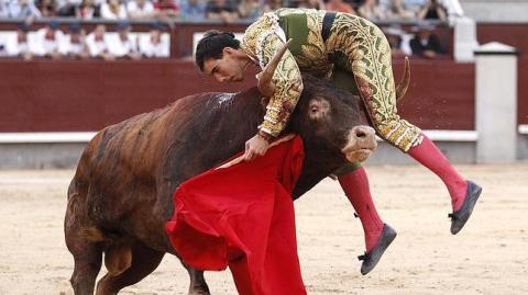 Torero recibe cornada en el cuello que llega hasta la base del cráneo