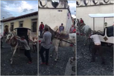 Una yegua cansada se niega a halar un carruaje en Antigua Guatemala