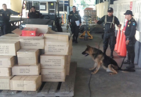 Falleció "Jack", el agente antinarcóticos canino de la PNC