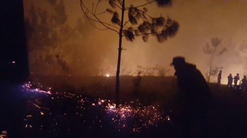 Incendios forestales, las emergencias más cubiertas en Semana Santa