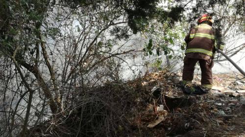 Bomberos tratan de sofocar incendio en Cementerio General