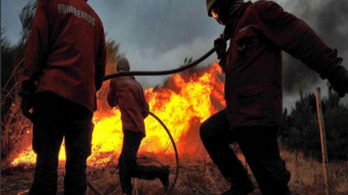 19 muertos y varios heridos deja un incendio forestal en Portugal