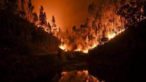 Incendios dejan 31 muertos y más de 50 heridos en Portugal