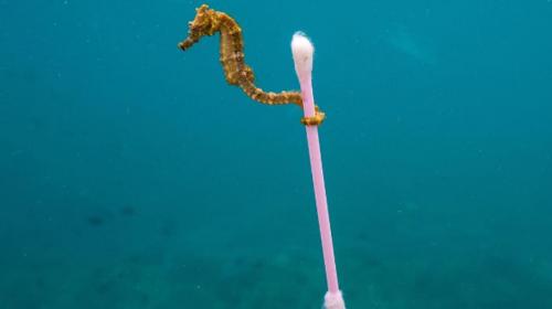 La impactante fotografía que muestra la contaminación en el océano
