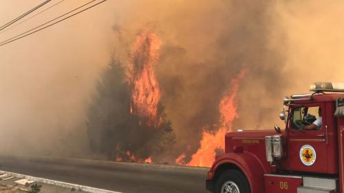 Cierran el Bulevar El Naranjo por pavoroso incendio forestal 