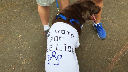 "Yo voto por Belice", el mensaje de un perro en la Consulta Popular