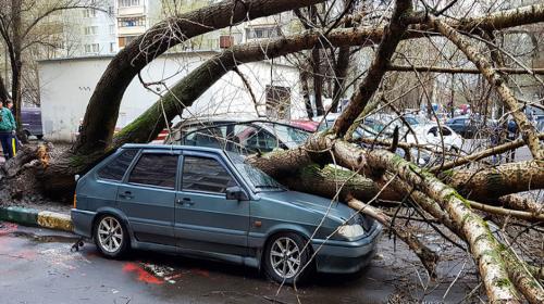 Poderosa tormenta causa muerte de niña y deja varios heridos en Moscú