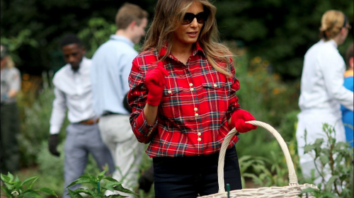 Melania Trump trata de hacer jardinería y es víctima de los "memes"