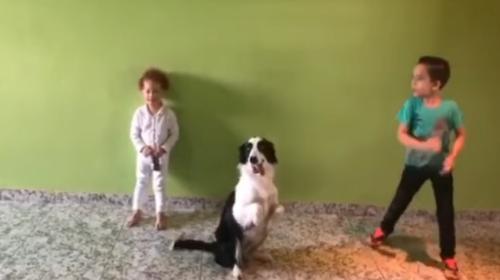 Video: el baile de este perro con sus dueños enloqueció las redes