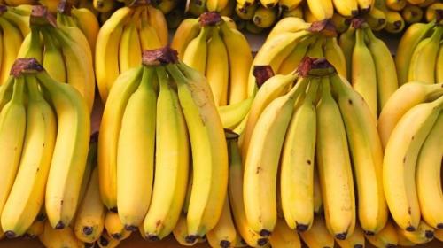 ¡Alerta mundial! El plátano y el banano en peligro de extinción