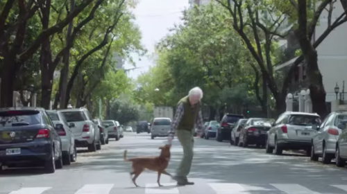 La triste y emotiva historia de un hombre y la fidelidad de su perro