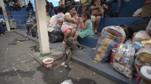 El instituto que se convirtió en albergue para afectados por erupción