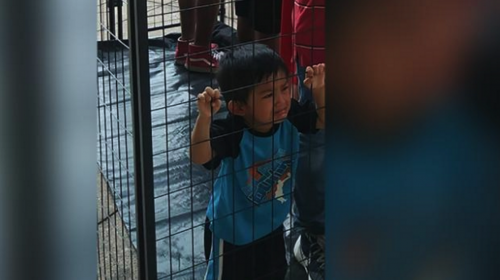La historia detrás de la foto del niño que llora en una jaula