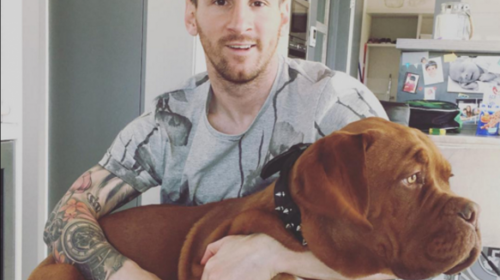 El video viral de Messi en el que regatea a un perro