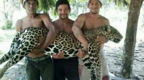 La verdad de las fotos de un jaguar cazado en Petén