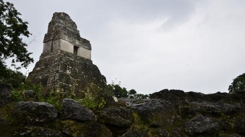 Las 5 actividades que puedes realizar en "Tikal"