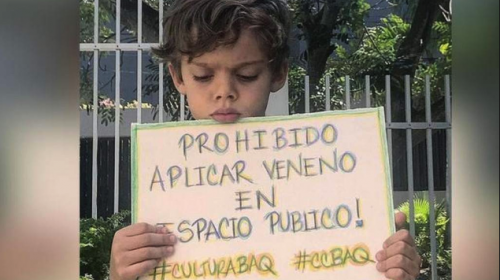 Niño conmueve a miles con mensaje tras envenenamiento de su perro